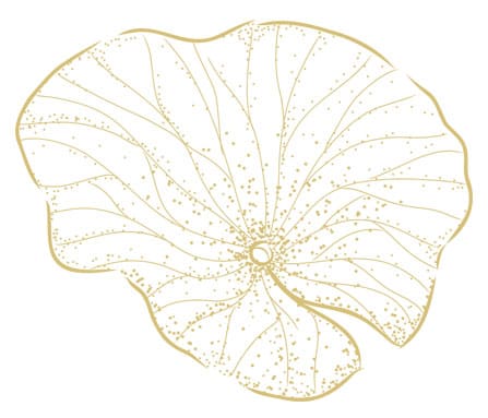 GWANGCHA™ RADIANT TEA COMPLEX #CLINICALKBEAUTY